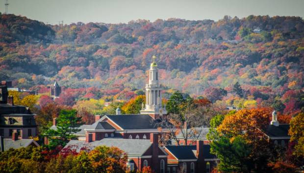 Felvételi Ivy League egyetemek, az Ivy League