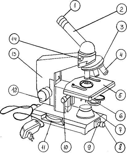 Правила роботи з мікроскопом