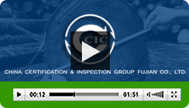 Передвідвантажувальної інспекція, ccic-fj