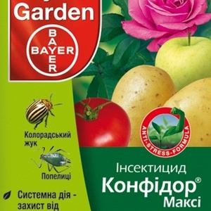 Препарат конфідор характеристики і переваги інсектициду, інструкція із застосування