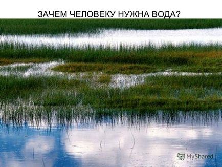 Презентація на тему тема дослідження водопровідної води