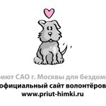 Adăpost pentru câini în Khimki
