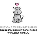 Притулок для собак у Хімках (@priut_sobak_himki) • instagram photos and videos