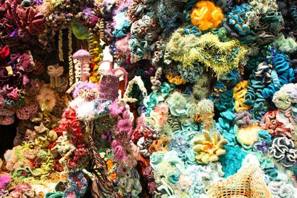 Проект коралового рифу, пов'язаного гачком це цікаво!