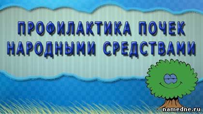 Профілактика нирок народними засобами - сечостатева система - лікування хвороб - народні рецепти