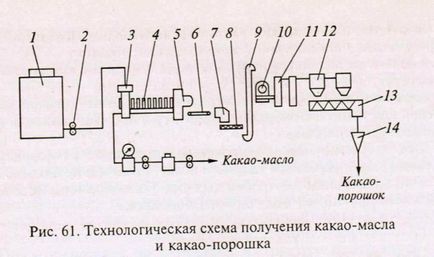 Виробництво какао-масла і какао-порошку