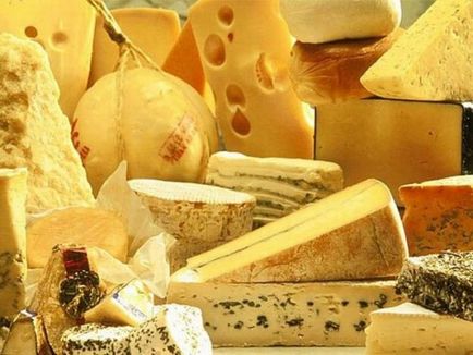 Виробництво сиру як бізнес міні цех можна відкрити швидко