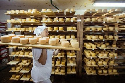 Producerea brânzei ca magazin de mini-afaceri poate fi deschisă rapid