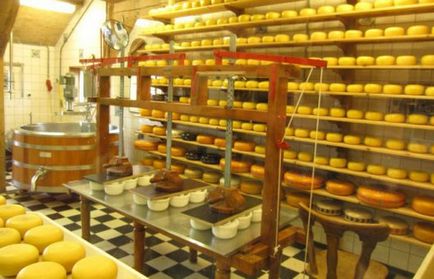 Виробництво сиру як бізнес міні цех можна відкрити швидко