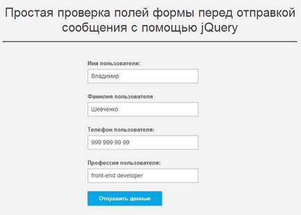 O verificare simplă a câmpurilor de formular pentru umplerea cu un script de jquery