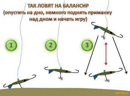 Прості правила лову на балансир