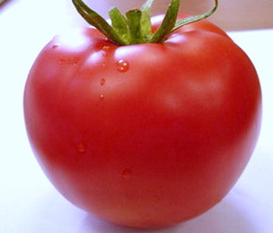 Різновиди сортів томатів для ленінградської області, критерії вибору