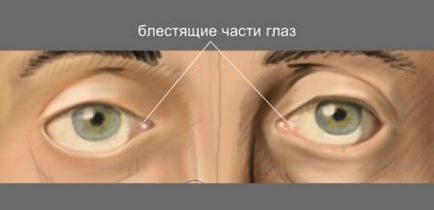 Desenați fața în Photoshop (Photoshop) Desenați fața în Photoshop