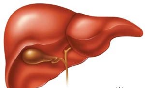 Роль печінки в формуванні алергії