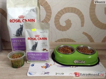 Royal canin sterilised 37 - «улюблений корм моїх обормотик) додаю фото котеек», відгуки