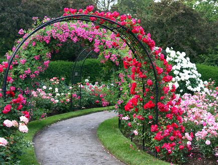 Arcul de grădină, destinație, vizualizări - exemple de fotografii