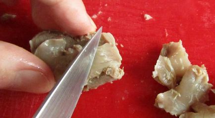 Салат - русь - з курячих потрошки з грибами і солоними огірками, покроковий рецепт з фото