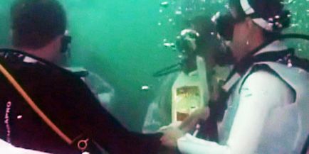 Найчисленніша підводний весілля - рекорди Гіннеса