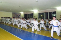 Önsegítő vagy karate otthon - Sports Club Tiger