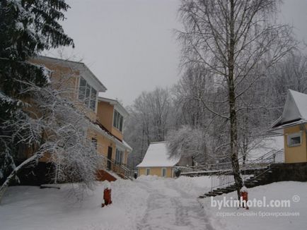 Sanatoriu Borzhava