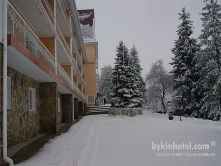 Szanatórium Borzsa (shuttle busz hosszú) szanatórium Borzsa