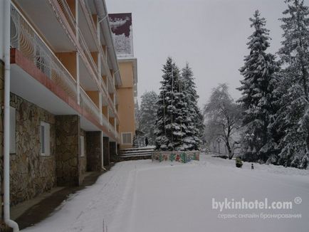 Sanatoriu Borzhava