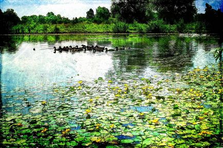 Санаторій - Лівадія - в лівадії (росія) - відгуки, ціни на тури, адреса на карті