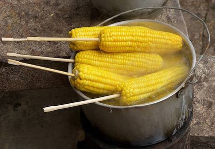 Titkok a főzés tökéletes kukorica, finom receptek