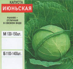 Seminte de flori si legume en-gros - varza (1)