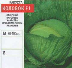 Seminte de flori si legume en-gros - varza (1)