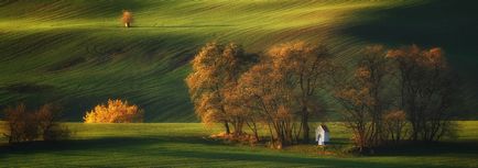 Fotografiere în aer liber în vreme însorită - fotocasa - catalog rusesc de fotografii