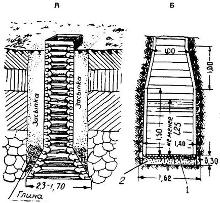 Arborele arborelui 1951