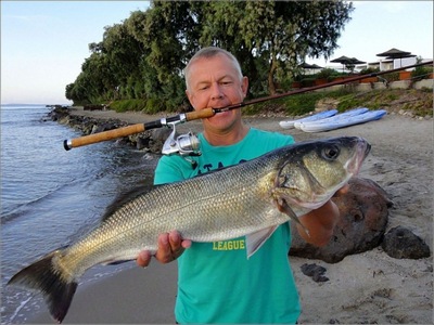 Seabass - habitate, căi de capturare - alte pești