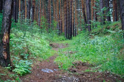 Stâncile din Kamensk-Ural sunt uralul nostru