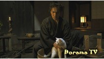 Urmăriți gratuit pisica doryam și samurai (samurai pisică neko zamurai) online în limba rusă sau cu