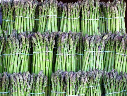 Asparagus officinalis leírása hasznos tulajdonságok, a használata