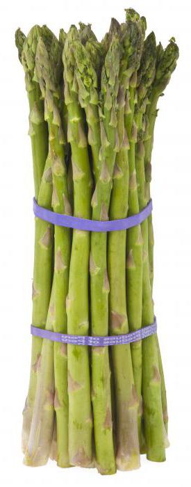 Asparagus officinalis leírása hasznos tulajdonságok, a használata