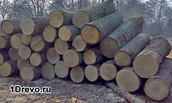 Casă de lemn de stejar pentru construirea unei case rezidențiale pro și contra, modalități de a economisi bani