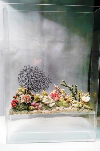 Сухий акваріум в інтер'єрі келих, чарка, вбудований в підлогу