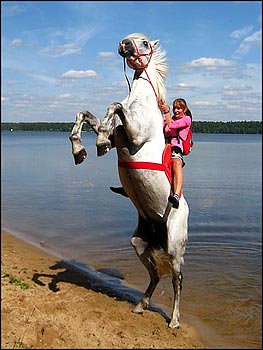 Свічки, козли - і інше небезпечне опір, старий друг