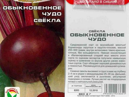 Буряк посадка, догляд, особливості вирощування у відкритому грунті, які сорти буряка краще