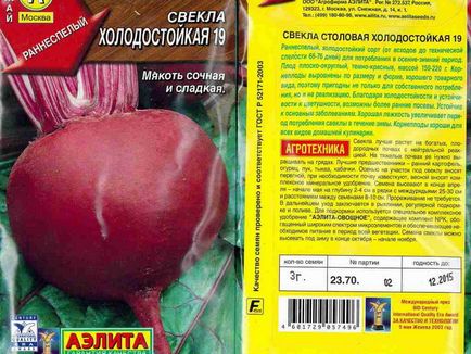 Буряк посадка, догляд, особливості вирощування у відкритому грунті, які сорти буряка краще