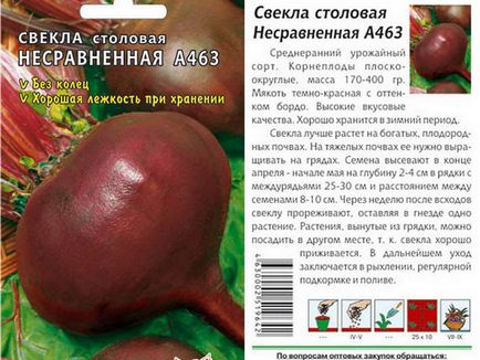 Буряк посадка, догляд, особливості вирощування у відкритому грунті, які сорти буряка краще