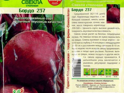 Буряк посадка, догляд, особливості вирощування у відкритому грунті, які сорти буряка краще