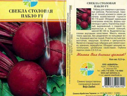 Буряк посадка, догляд, особливості вирощування у відкритому грунті, які сорти буряка краще