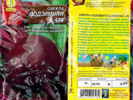 Буряк посадка, догляд, особливості вирощування у відкритому грунті, які сорти буряка краще