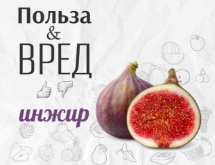 Свій бізнес як варити сири на продаж і відкрити сироварню