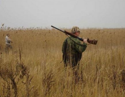 Техніка стрільби в зайця і поведінку мисливця