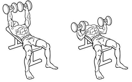 Техника на пейка изпълнение преса гири лежи