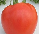 Tomato donna anna f1 12 semințe